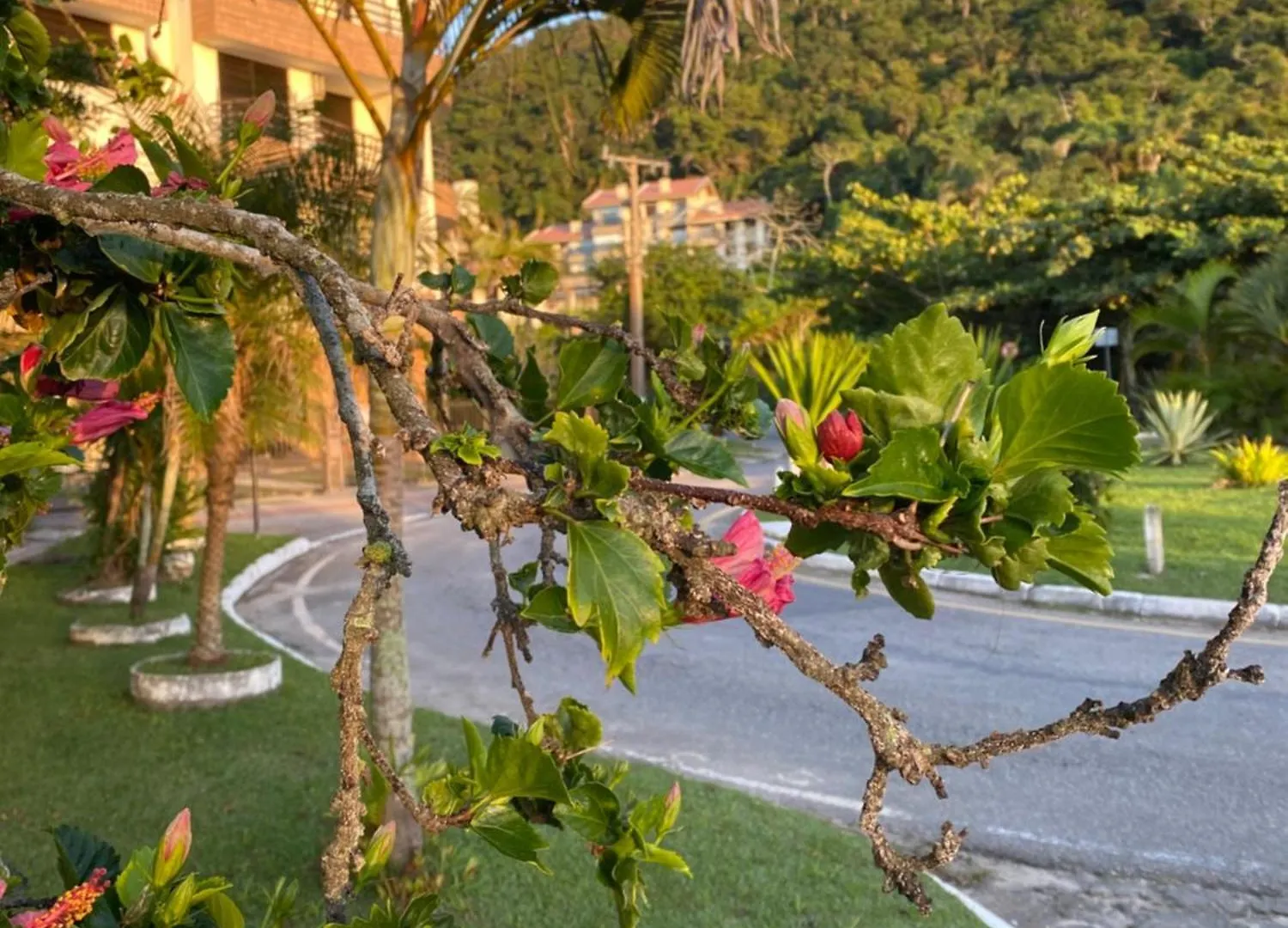 アパート Apartamento Praia Brava Florianopolis Condominio ブラジル